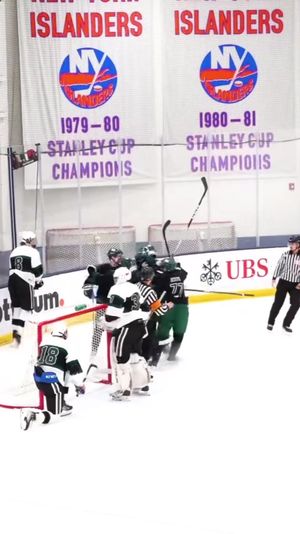 Video post by @fschockey on TikTok