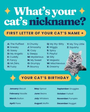 Image post by @solidgoldpets on Instagram