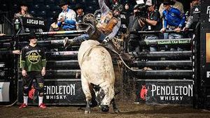 Video post by @pbr on YouTube