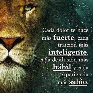 Image post by @redlatina on Facebook