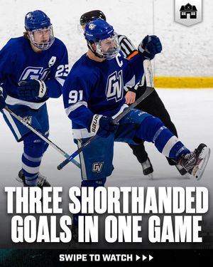 Image post by @hockeyhousepod on Instagram