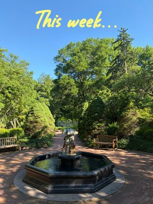 Video post by @lowranmarie on TikTok