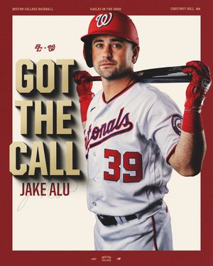 Image post by @BCBirdBall on Twitter