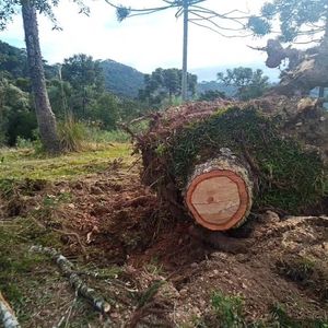Image post by @operitoambiental on Instagram
