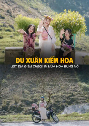Image post by @checkinvietnam on TikTok