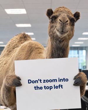 Image post by @geico on Instagram