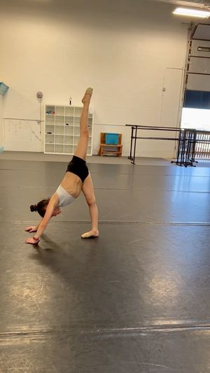 Video post by @elitedanceforcemi on Instagram