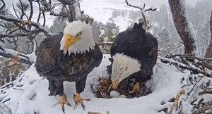 Image post by @foxweather on Instagram