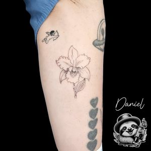 Image post by @whitesloth.tattoo on Instagram