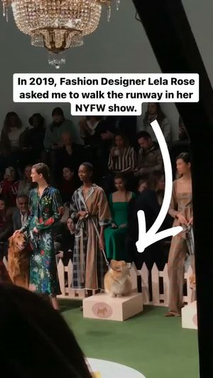Image post by @madmax_fluffyroad on Instagram