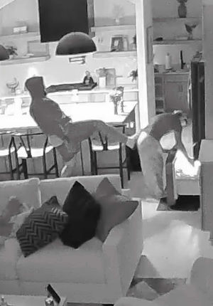 Video post by @thepuigfamily on TikTok
