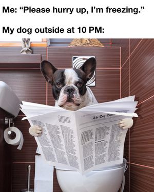 Image post by @mybenebone on Instagram