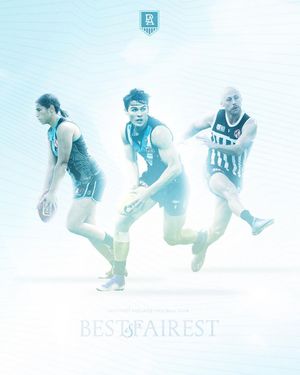 Image post by @pafc on Instagram