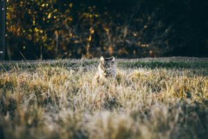 Image post by @brandonlarochelleproductions on Instagram