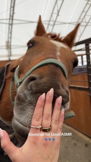 Video post by @kate.cassaidy on TikTok