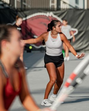 Image post by @razorbackwten on Instagram