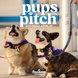 Image post by @loucityfc on Twitter