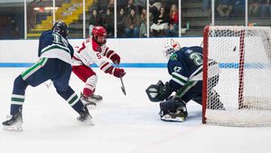Image post by @iuphockey_d1 on Instagram