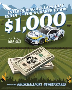 Image post by @BuschBeer on Twitter