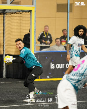Image post by @stlouisambush on Instagram