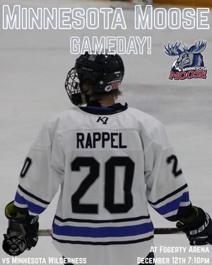 Image post by @mnmoosehockey on Instagram