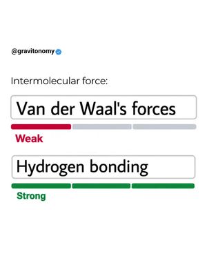 Image post by @gravitonomy on Instagram