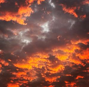 Image post by @mauricos_1410 on Instagram