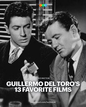 Video post by @letterboxd on TikTok