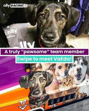 Image post by @allyracing on Instagram