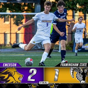 Image post by @emersonlions on Instagram