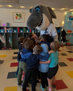Image post by @ilmsharks on Instagram