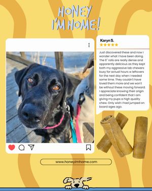 Image post by @honeyimhome on Instagram