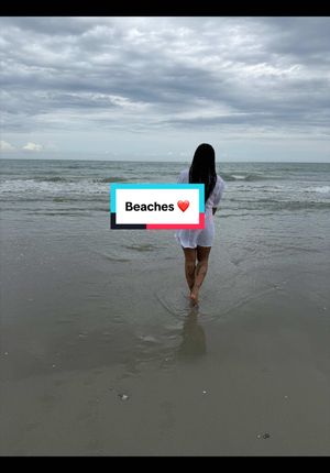 Video post by @raisingcultures on TikTok