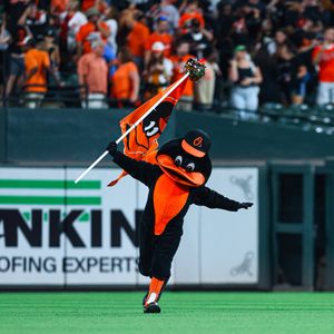 Image post by @OrioleBird on Twitter