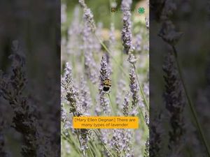 Video post by @University of Missouri Extension on YouTube
