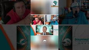 Video post by @dolphinstalk on YouTube