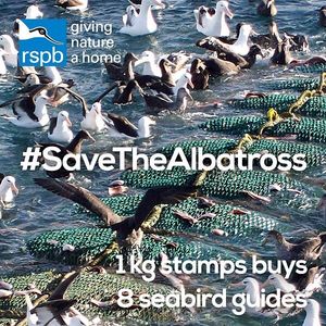Image post by @rspb on Instagram