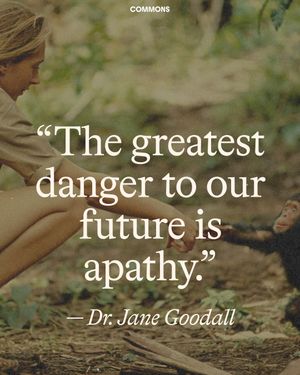 Image post by @commonsearth on Instagram