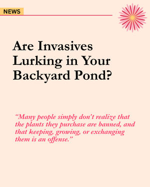Image post by @ahs_gardening on Instagram