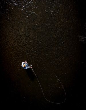 Image post by @steelrockfilms on Instagram