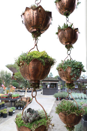 Image post by @rogersgardens on Instagram