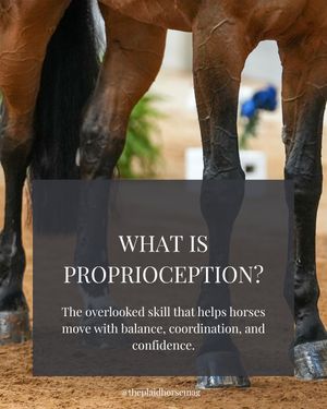 Image post by @theplaidhorsemag on Instagram
