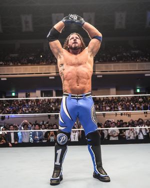 Image post by @wwejapan on Instagram