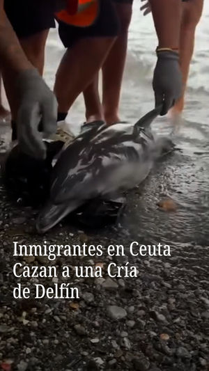 Image post by @nmasunivision on Instagram