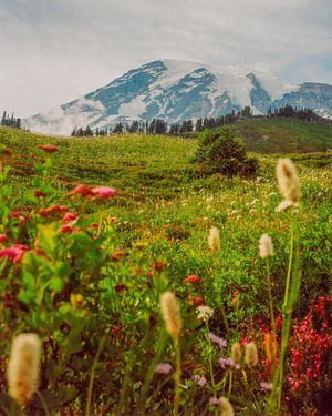 Image post by @connorpickett on Instagram