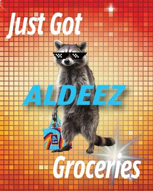 Image post by @aldiusa on Instagram