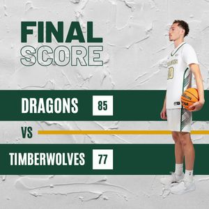 Image post by @tiffinuhoops on Instagram