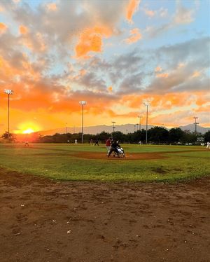 Image post by @fivetoolhawaii on Instagram