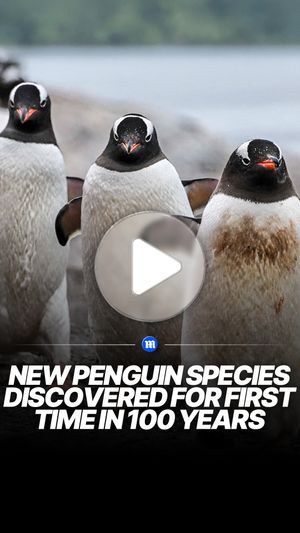 Image post by @dailymail on Instagram