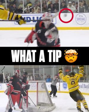 Image post by @hockeyhousepod on Instagram